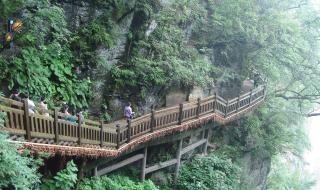 湖北神农架旅游景点有多少